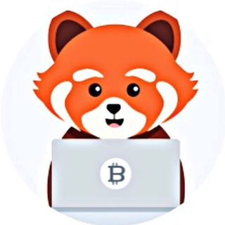 Panda Reward Gift
